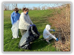 Earth Day Cleanup bushes