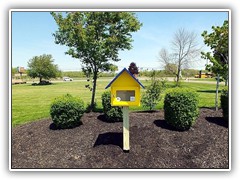 Little Lending Library at Niagara Wheatfield